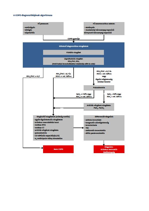 2.6. ábra: A COPD