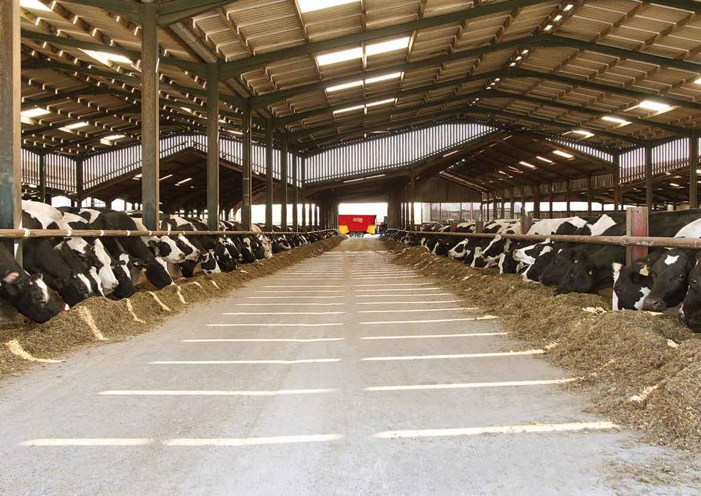 T 2 Filozófiánk Mindig a gazda és a tehenek igénye álljon a fókuszban A takarmányozási struktúrát megőrizni, rövid és hosszú, száraz és nedves takarmányt pontosan keverni, rendszeresen és egyenlően