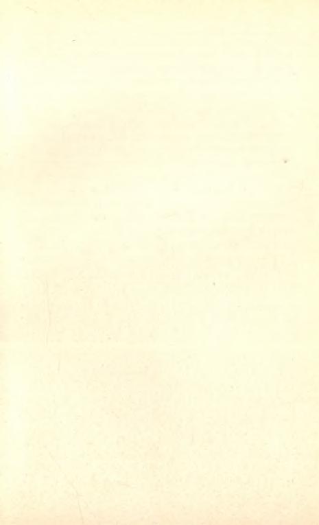 A GYORSÍRÁS j ö v ő j e a n y o m d á sz a t b a n 85 Igaz, hogy némi nehézséget okoz az, hogy a felső gyorsírás elsajátítása magasabb