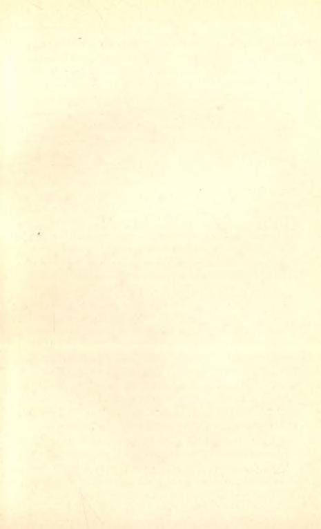 A GYORSÍRÁS j ö v ő j e a n y o m d á s z a t b a n 83 De nálunk csak jóval későbben nyert elterjedést az aczéltoll, mert még közölünk is többen akadnak bizonyára, a kiket az irástudomány ismeretére