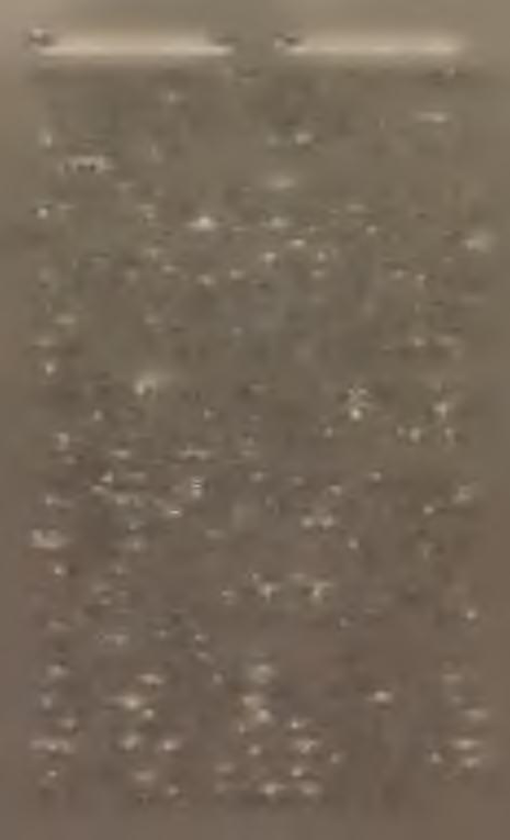 Az a már annyi nagyszerűt alkotott emberi elme tehát nem elégedett meg a régi gyorsirási rendszerrel, e tekintben sem engedte magát korlátolni, addig fürkészett, találgatott, míg az akadályokat és