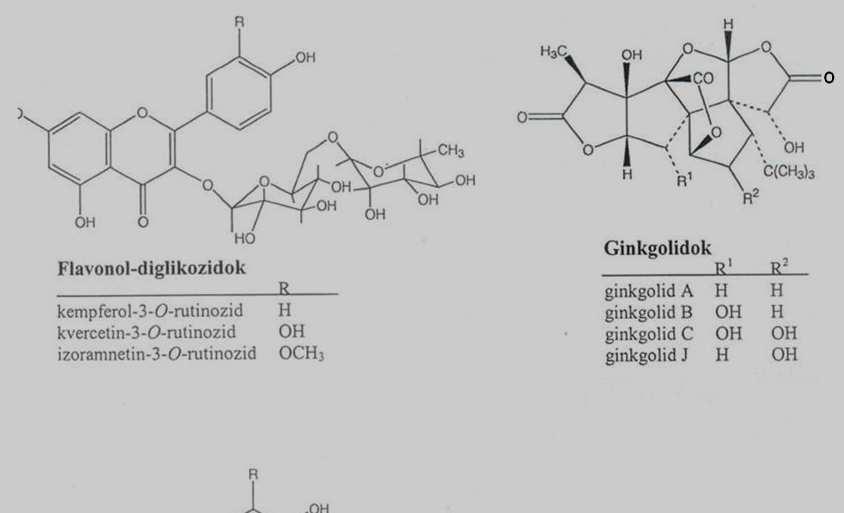 Standardizált Ginkgo kivonat