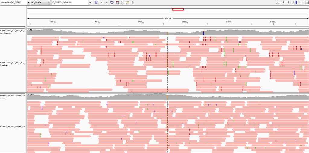 Függelék 2. ábra Archaikus DNS jellemző sérülés mintázat a MapDamage 2.0 program segítségével készítve. a. nem UDG kezel könyvtár. b. Részleges UDG kezelt könyvtár ugyanazon kivonatból. Függelék 3.