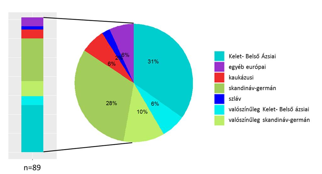 része egészen egyértelmű származást mutatott, 31%-uk Kelet-Belső Ázsiából, 28%-uk skandináv-germán népektől származó szekvenciákkal adott közeli megfelelést.