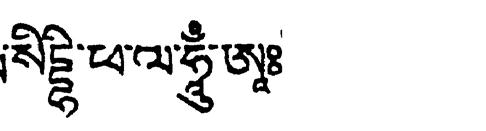 OM AH HUNG VADZSRA GURU PADMA THOD THRENG CAL VADZSRA SZAMAJA DZA SZIDDHI PHALA HUNG AH HRIMA HARI NISZA RACA HRI JA CITTÁ HRIM HRIM DZA DZA GU RU KHA DRÖ CHOG CSHÉ TYÍ DHAG CSAG MÖ PÉ BU NHAM LA LÜ