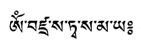 HO RIG DZHIN LHA MÉ TYHIL KHOR DU CHOG TYI CSHOD PA BHUL VA JÍ DHAG ZSHAN DRO VA MA LÜ PA TYHIL KHOR CSHIG TU DRUB PAR SOG MA NYED JONG SZU MA CHANG DANG GANG JANG NÜ PA