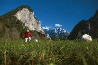 the Alps and the Carpathians financovaného z Programu Európskej teritoriálnej spolupráce