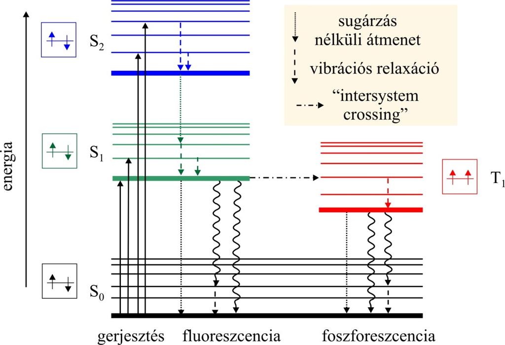 Molekula kölcsönhatásban a környezettel emisszió csak a legalsó gerjesztett állapotból Az elektron-pályák energiáit a molekulák diszkrét vibrációs állapotai kis mértékben perturbálják Kasha-szabály A