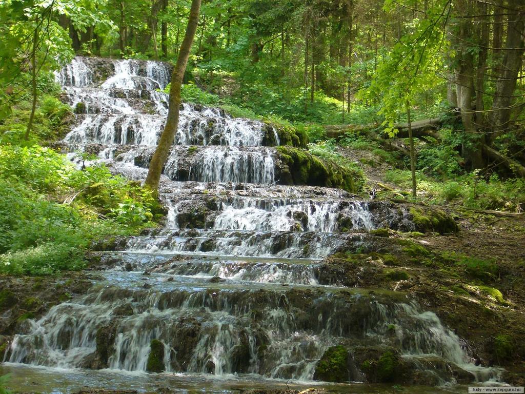 ARBORÉTUM, Kám (Őrségi