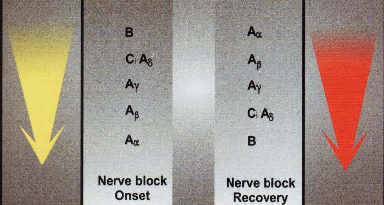 Differenciál blokk alapja: az idegrostok LA érzékenysége különböző ok: diffúziós barrier eltérő vastagsága (Schwann) kellően