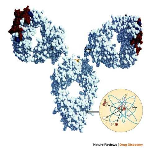 SYISYTÉMÁS RADIOTHERAPY Radioimmunoconjugatumok Antibody targeted radiation - bismuth-213, astatine-211,