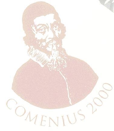 COMENIUS 2000. I. Intézményi modell "Partnerközpontú működés" 2010.