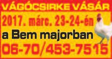 Tel.: 06-30/313-1829 Kos BÁRÁNYOK és kos BIRKÁK eladók Csanyteleken. Tel.: 06-20/467-0993 Hasított SERTÉS eladó. Tel.: 06-30/206-2373 TÁRSKERESŐ 168/75/68 éves, megnyerő személyiségű férfi vagyok.