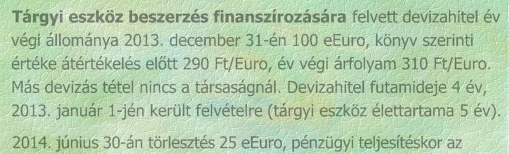 Tárgyi eszköz beszerzés finanszírozására felvett devizahitel év végi állománya 2013.