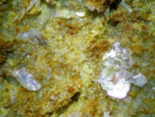 Flogopit nontroniton Kriston