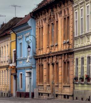 lapcsaládjának egyik legújabb, dinamikusan fejlődő tagja.