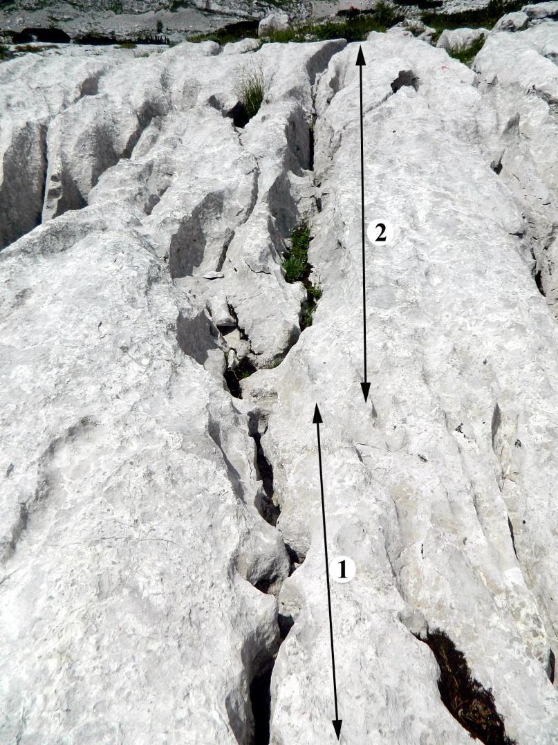 2. kép: Vályúrendszer alsó részén elkeskenyedő fővályúja (Totes Gebirge) Jelmagyarázat: 1. szűk, alsó fővályú szakasz, 2.