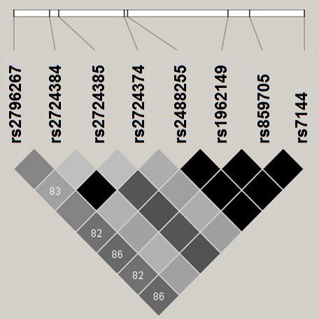 16. ábra A vizsgált MCP polimorfizmusok közötti páronkénti kapcsoltság, a Hapmap CEU populáció adatait használva.