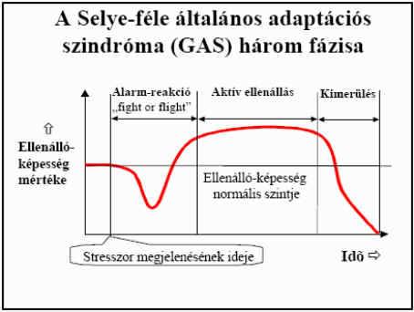 Alarm reakció: A szervezet energiatartalékai mobilizálódnak.