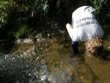 Mérések a helyszínen Vízhozam adatok nem álltak rendelkezésemre semmilyen forrásból, ezért úsztatásos módszerrel igyekeztem becslést tenni.