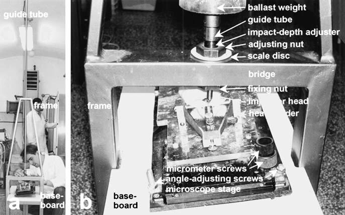 284 J. Pál et al. / Journal of Neuroscience Methods 153 (2006) 283 289 injury.