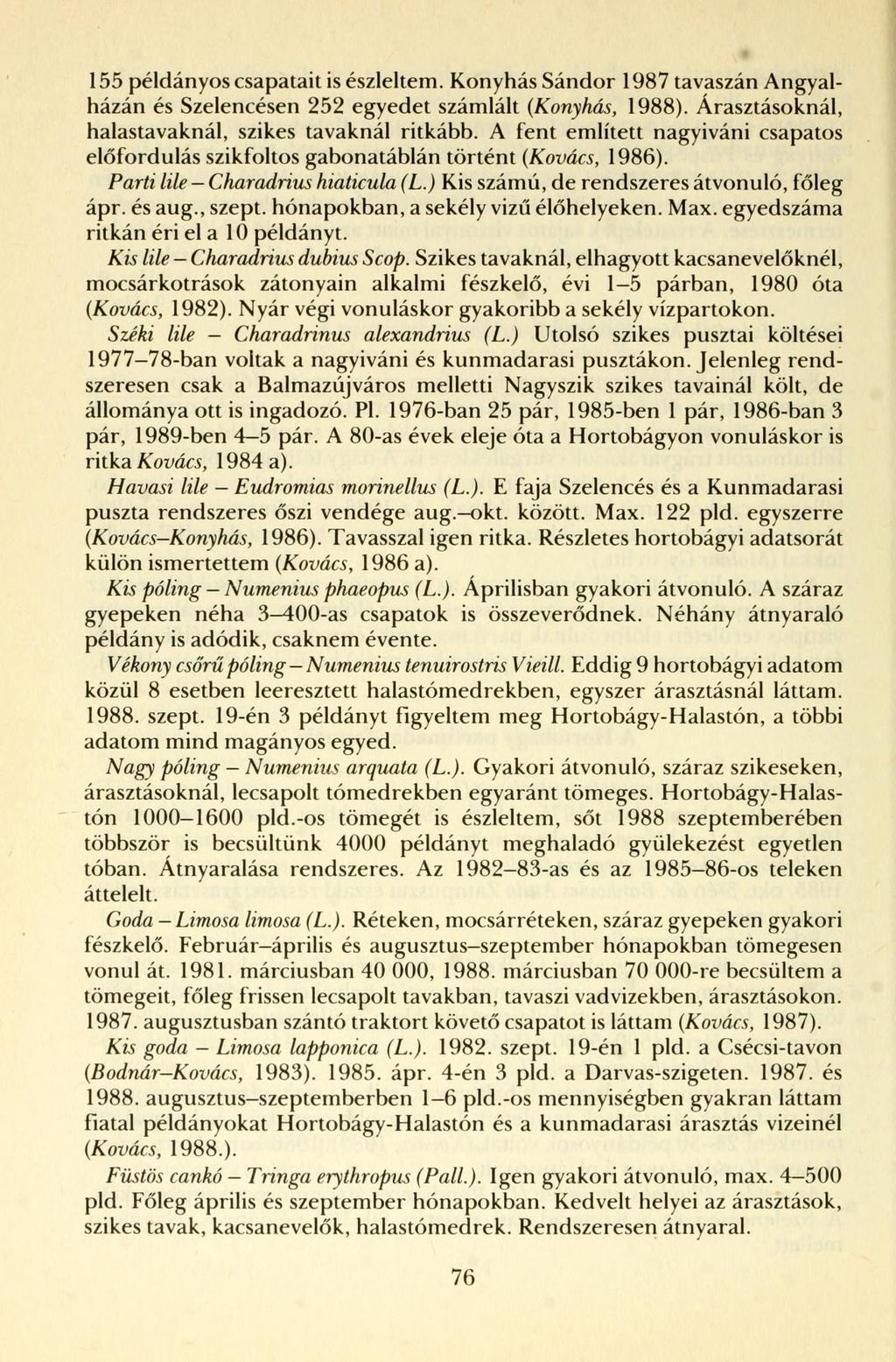 155 példányos csapatait is észleltem. Konyhás Sándor 1987 tavaszán Angyalházán és Szelencésen 252 egyedet számlált (Konyhás, 1988). Árasztásoknál, halastavaknál, szikes tavaknál ritkább.