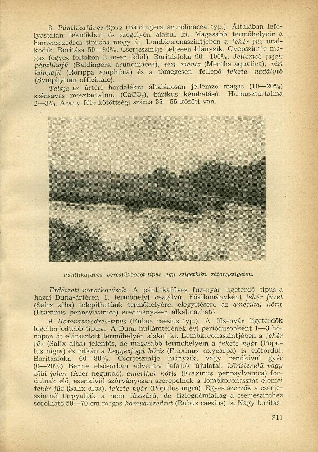 8. Pántlikafüves-típus (Baldingera arundinacea' typ.). Általában lefolyástalan teknőkben és szegélyén alakul ki. Magasabb termőhelyein a hamvasszedres típusba megy át.