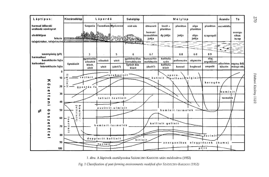 1. ábra. A lápövek osztályozása SZÁDECZKY-KARDOSS után módosítva (1952) Fig.