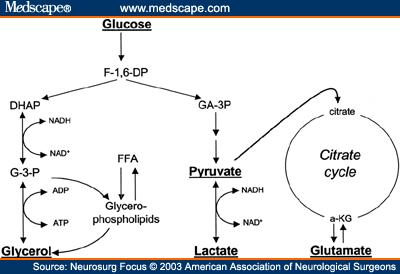 aktivitás, CaO2 - cerebralis glükóz koncentráció Agyi glükóz konc.