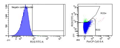 Darab Alacsony szabadgyök tartalmú minta Mean fluorescence intensity x % ROS+ sperm Zöld jelű minta Zöld jelű minta Alacsony % ROS sejtenként (0.