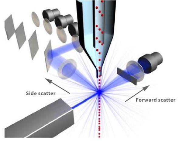 Áramlási cytometria Bevezetés 2/4 A műszer 3 fő egysége: Folyadék rendszer Optikai rendszer Elektromos rendszer