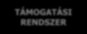 Ábra: Támogató rendszerek Család A kutatás szempontjából lényeges, hogy megosztanák-e az alanyok családjukkal, ha kiégési problémáik lennének.