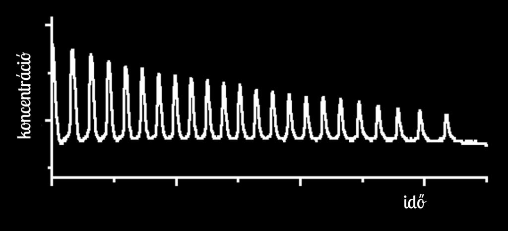 Ritmikus kémiai reakció Átmeneti jelenség
