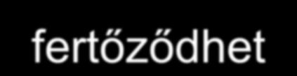 vezetékes, ásott, fúrt kút fertőződik Tejjel, egyéb