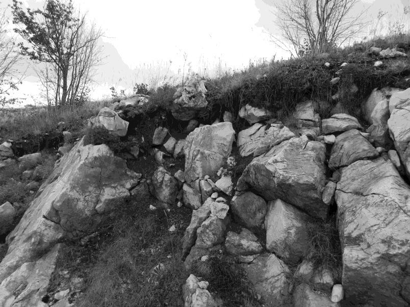 2. kép: Talajjal kitöltött hasadékok mintegy 1100 m-es magasságban Galečic falu közelében (Dinári-hegység, Bosznia a 16-os út mentén) Picture 2: Grikes filled with soil at an altitude of