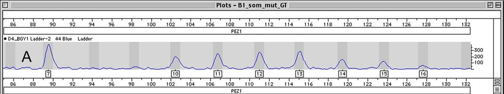 Az aberrációk százalékos eloszlásában megfigyelt, testtájak szerinti különbségek hát 19,2%, pofa 11,3, mellső lábak 16,7%, hátsó lábak 16,2% (12.