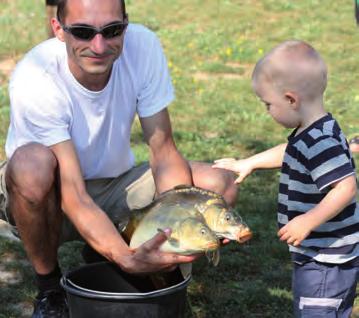 Vízparti nyugalom, kapitális fogások Horgászat/Angeln/Fishing A balatoni halászat, horgászat sajátos hagyományokkal rendelkezik.