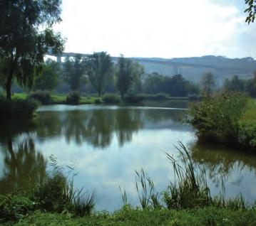 Zum Angeln ist es erforderlich, einen gültigen regionalen Schein zu haben. Fishing at the Lake Balaton has an old tradition. If you want to go fishing you have to buy a fishing license.