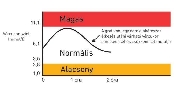 Gyermekdiabétesz AZ ELSŐ KÉRDÉSEK MI OKOZZA A GYERMEKKORI 1-ES TÍPUSÚ DIABÉTESZT? Sajnos ma még nem tudjuk pontosan azt, hogy mi okozza a diabéteszt.