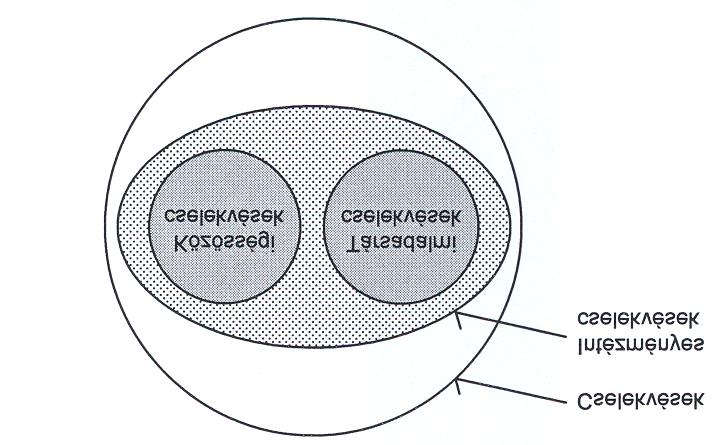 b) A közösségi és a társadalmi cselekvés fogalma 5.2.