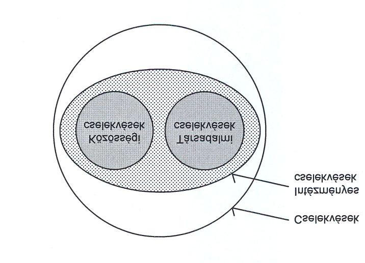 b) A közösségi és a társadalmi cselekvés fogalma A közösségi és a társadalmi cselekvéseket annak megfelelően értelmezzük, ahogyan a negyedik fejezetben (3.
