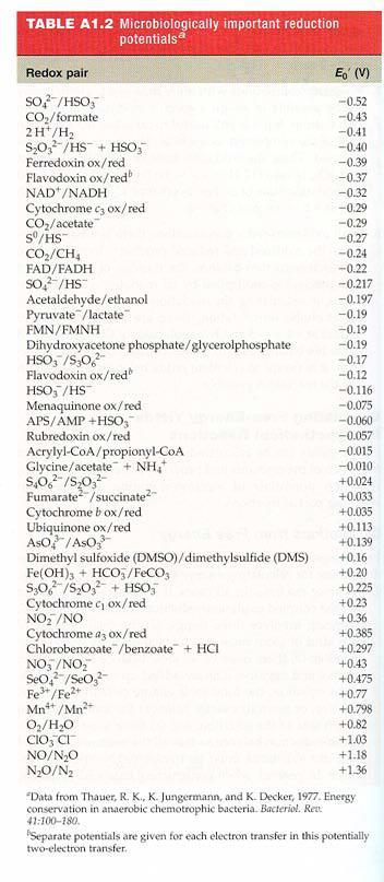 21 A redoxpotenciál Néhány biológiai szempontból is fontosabb redoxrendszer középponti redox potenciálja: Oxidált forma Redukált forma z E m (V) a-keto-glutarát szukcinát +O 2 2-0,67 ferredoxin ox