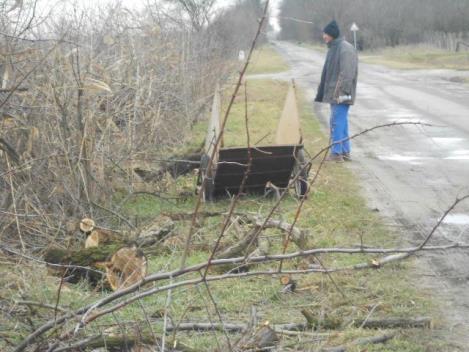 MK NZrt. kezelésében lévő hóvédő erdősávok II.