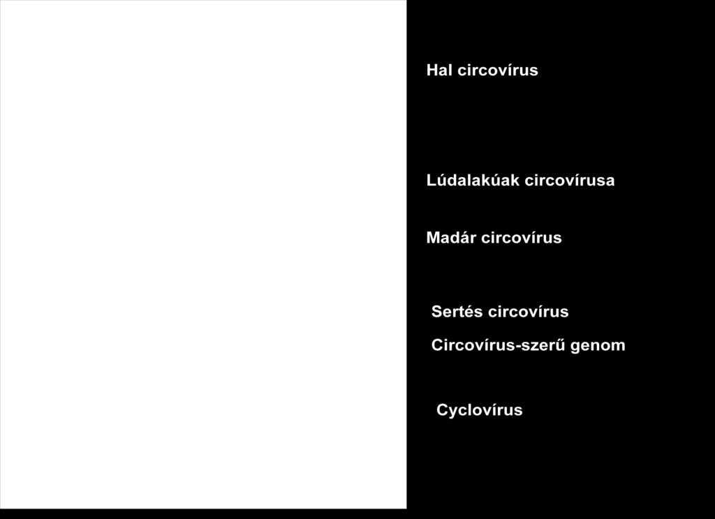 A vírus elsősorban légzőszervi és központi idegrendszeri tünetekkel járó megbetegedést okoz, súlyosabb, tömeges elhullást okozó formáját elsősorban viperafélék (Viperinae) alcsaládjába sorolt