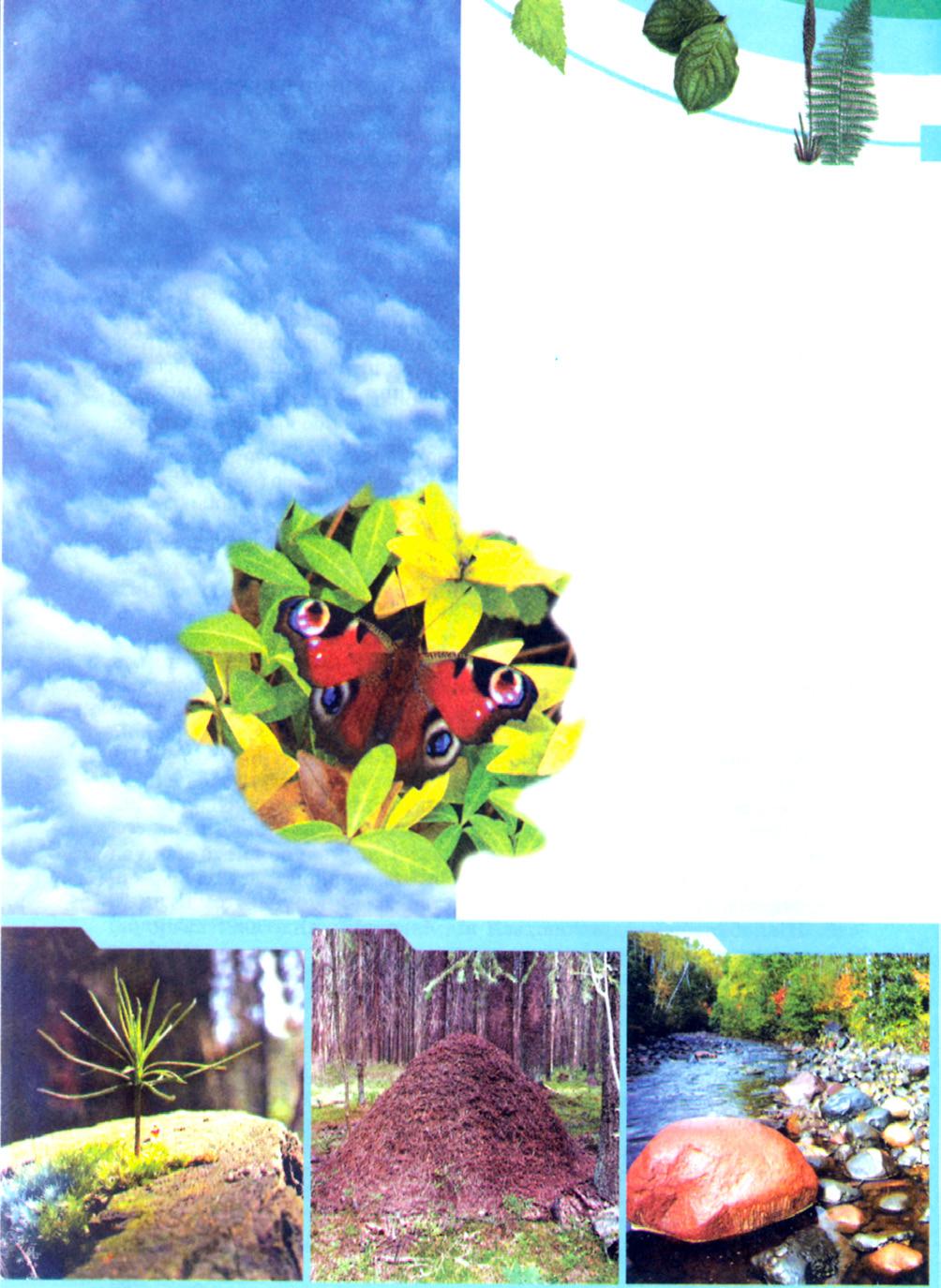 1. TÉMA A