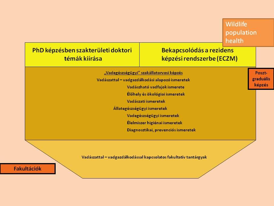 Az Állatorvos-tudományi Kar jövőbeni Oktatásban feladatai