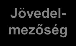 Nyereség Jövedelmezőség