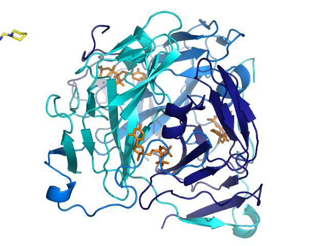 Munkafolyamat 1. HTS In silico screening 2 millió vegyületre 2. In vitro enzimtesztek 100-200 vegyületre 3.