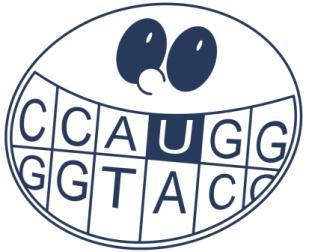 Paradigm shift Non-conventional roles for uracil-dna hat happens in lack of both dutpase and UDG? Accumulation of uracil-dna (viable) e.g double mutant (dut-ung-) E.