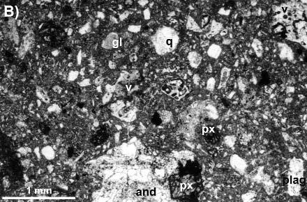 Large granite block teared up from the palaeomesozoic basement is embedded into Upper Miocene andesitic pyroclastic rock in the side of Eperjes Crag mm-nél nagyobb, beágyazott szemcsék (blokkok)